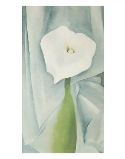 Calla Lily on Grey – PostersofSantaFe.com