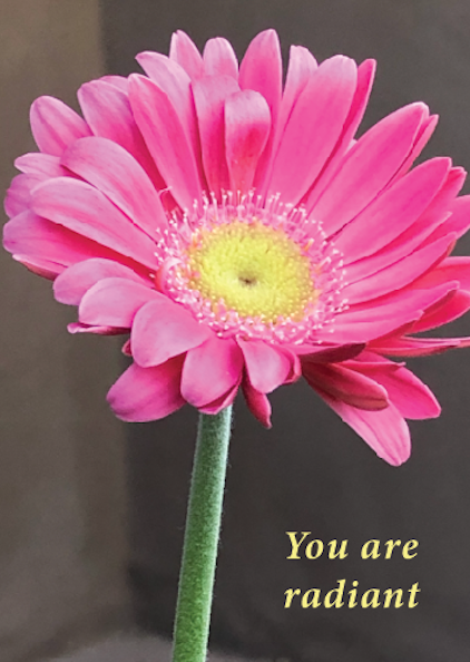Valentines - You are radiant