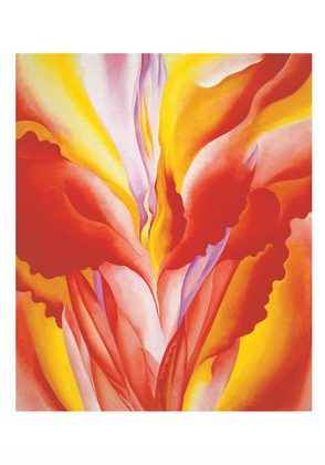 Red Canna - Notecard