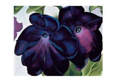 Black and Purple Petunias - Notecard