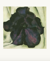 Untitled (Purple Petunia) - notecard