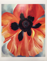 Red Poppy VI