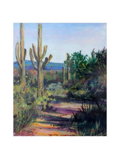 Saguaro Path