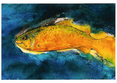 Trout Night Swimmer
