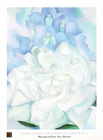White Rose with Larkspur #2