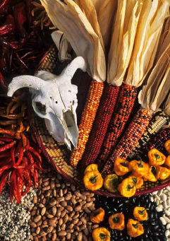 Chile, Corn, and Beans with Skull- notecard