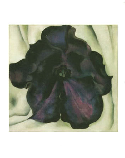 Untitled (Purple Petunia) - notecard