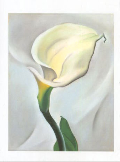 Calla Lily Turned Away, 1923 - Notecard