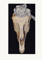 Horse's Skull with White Flower