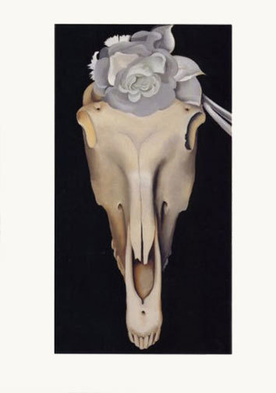 Horse's Skull with White Flower - Notecard