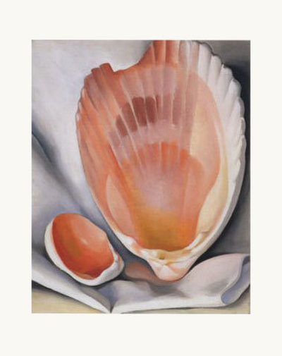 Two Pink Shells - notecard