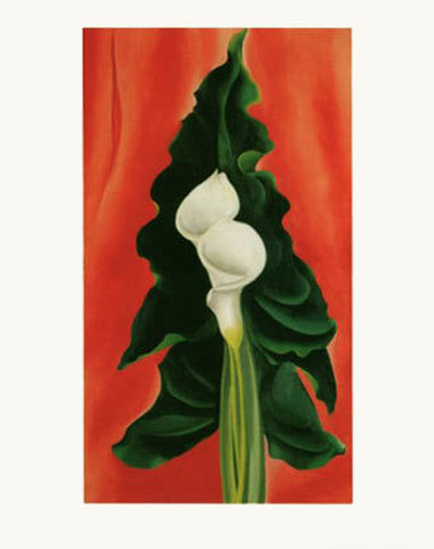 Calla Lilies on Red - Notecard
