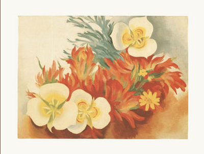 Mariposa Lilies and Indian Paintbrush - Notecard