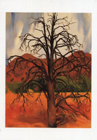 Dead Piñon Tree - Notecard