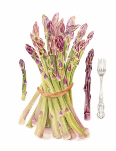 Asparagus with Fork