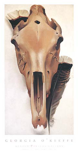 Mule Skull with Turkey Feathers