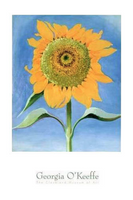 Sunflower, Cleveland Museum