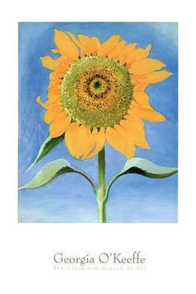 Sunflower, Cleveland Museum