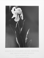 White Iris, 1926