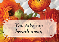 Valentines - You Take my Breath Away